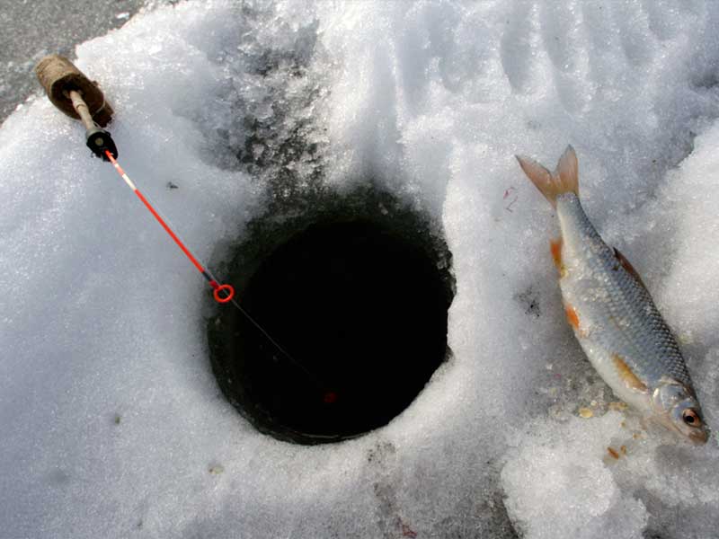 Зимняя рыбалка с проживанием на базе Причал